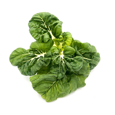 Fresh milk bok choy harvested from the 4Roots Farm Campus in Orlando, Florida — locally grown, crisp, and vibrant with tender white stems and deep green leaves.