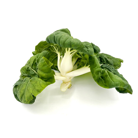 Locally grown Florida milk bok choy from the 4Roots Farm Campus, featuring lush green leaves and crunchy white stalks packed with freshness and flavor.