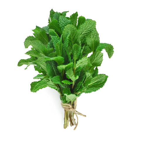Fresh locally grown mint from 4Roots Farm Campus in Orlando, FL, cultivated using organic practices for vibrant flavor and natural freshness.