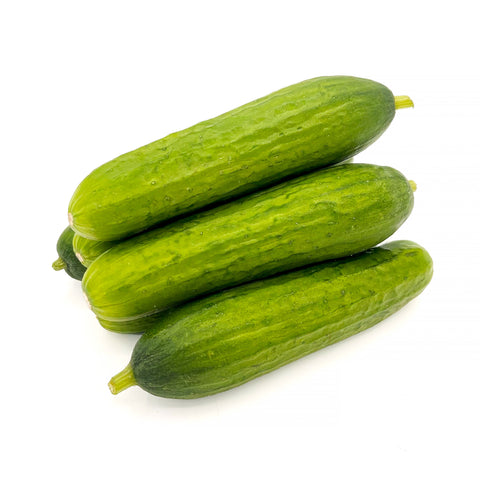 Fresh locally grown  baby Persian cucumbers – crisp, mini cucumbers perfect for snacking, salads, or pickling