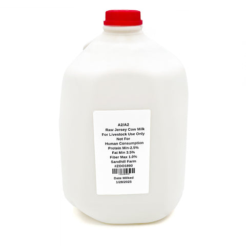 Locally produced, unpasteurized raw milk from Sandhill Farms in Florida. This fresh, creamy gallon of raw milk is sourced from grass-fed cows and bottled with care to preserve its natural nutrients and rich flavor. Perfect for those who appreciate high-quality, farm-fresh dairy.