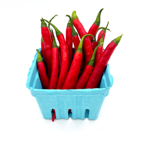 view of Thai Peppers in a blue crate, emphasizing their uniform shape and intense color