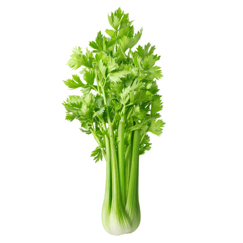 Shop our 100% organic celery – packed with antioxidants and vitamins to support digestion and reduce inflammation. Handpicked for freshness, perfect for juicing, snacking, and adding crunch to your meals!