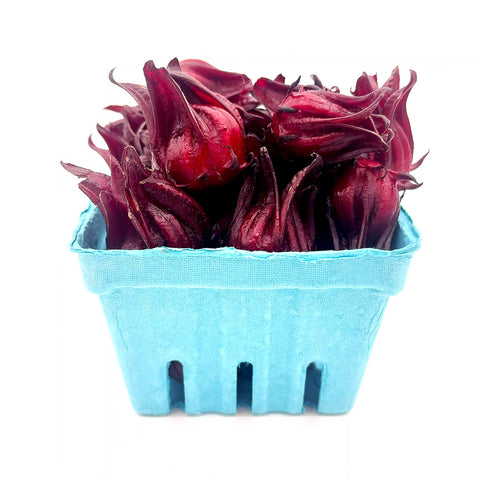 Nutrient-rich, ruby-red Roselle Hibiscus from Orlando, FL – fresh calyces for flavorful teas, culinary use, and wellness recipes.