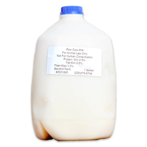 Fresh gallon of unpasteurized raw cow milk from Sandhill Farm, Florida, featuring the farm's signature label. Highlighting its rich nutrient profile and pure, farm-fresh quality, this locally-sourced dairy is perfect for health-conscious consumers seeking raw milk benefits.