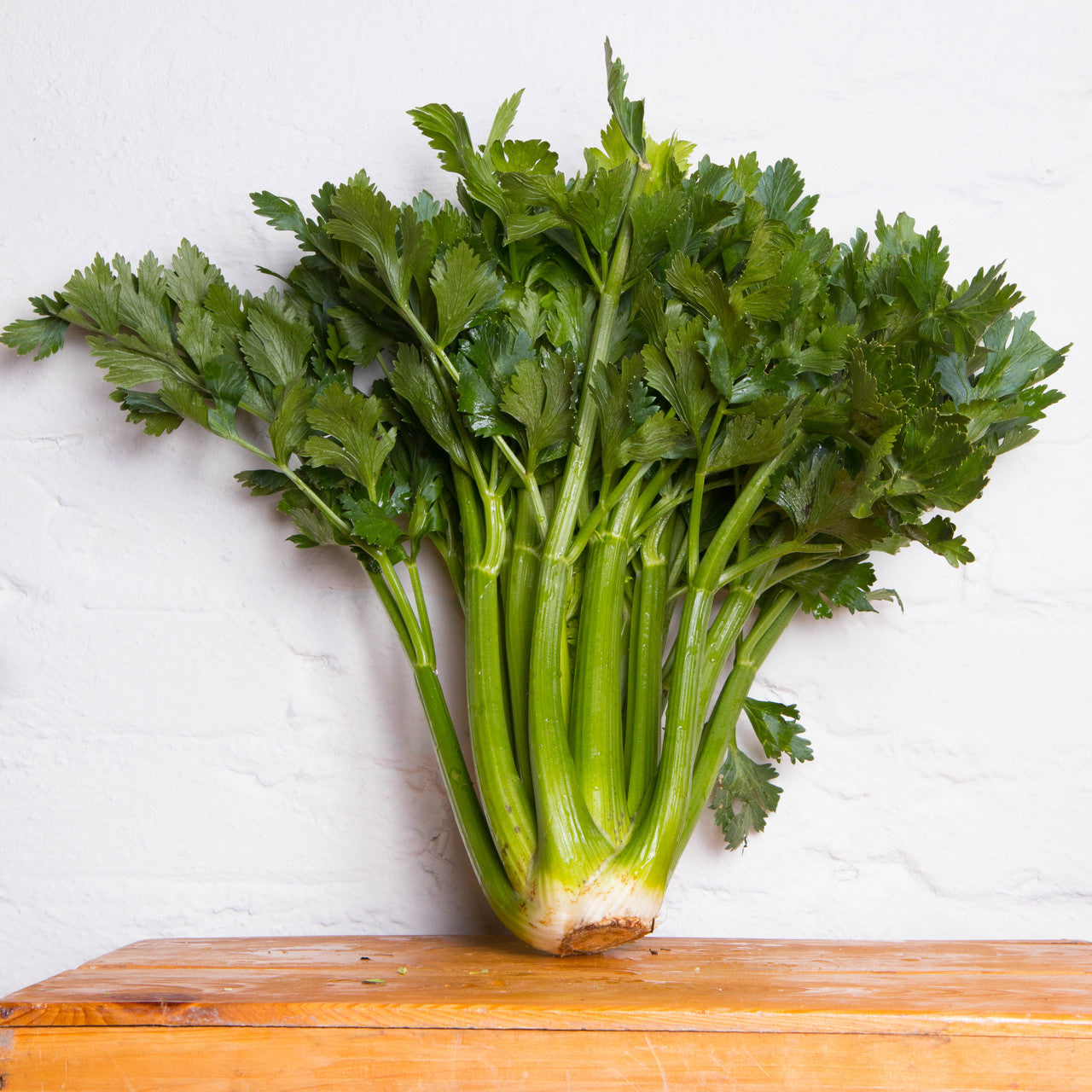 Celery for inflammation best sale