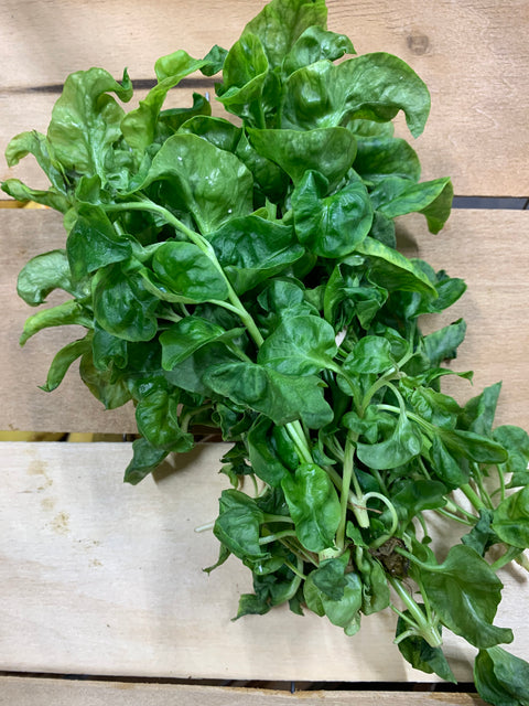 Organic Sisso Spinach - Local - 1 Bunch