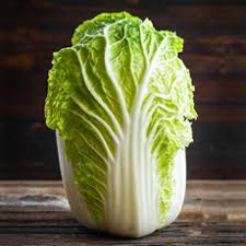 Organic Napa Cabbage - LOCAL