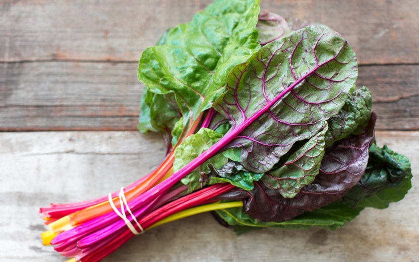 Hydroponic Rainbow Swiss Chard – Fresh by 4Roots