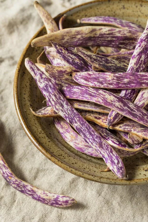Dragon Tongue Beans - 1/2 Pound - Local