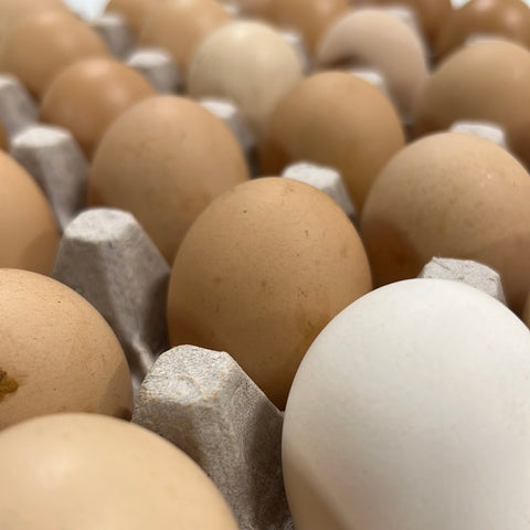 Lé Koopé Pasture Raised Eggs