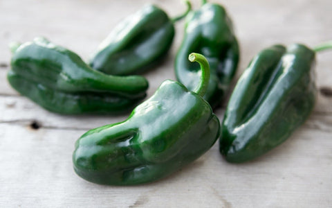 Poblano Peppers